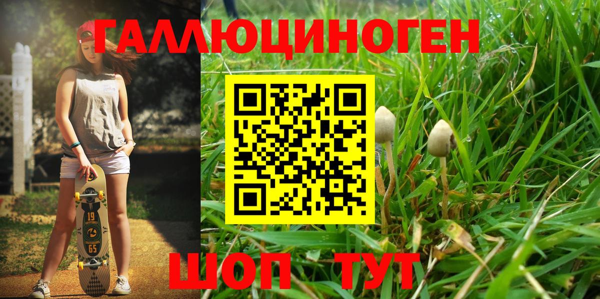 Галлюциногенные грибы MAGIC MUSHROOMS Севастополь
